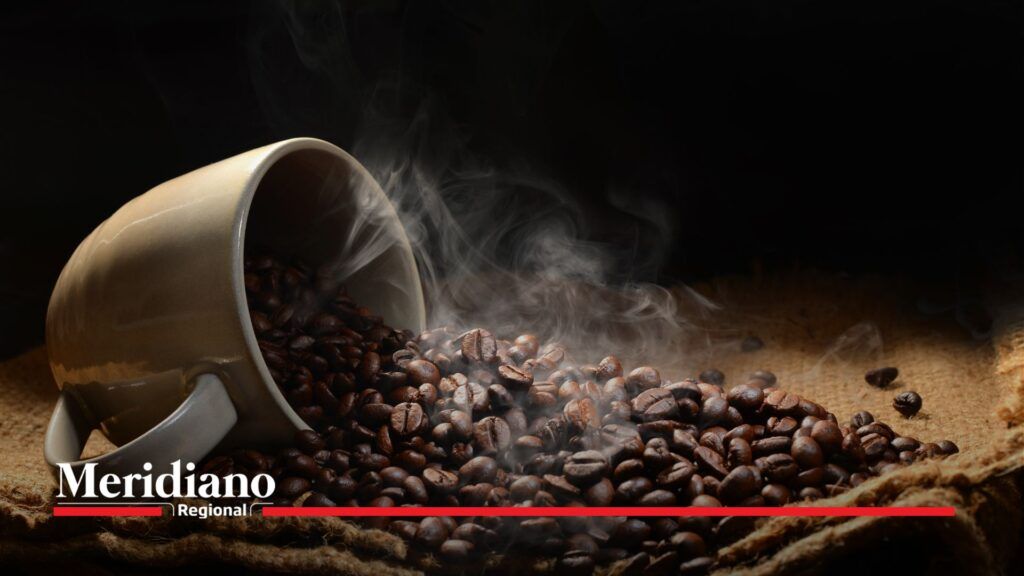 café-caucano - caficultura - cafés-de-especialidad - Cauca - café-colombiano - compradores-internacionales - Asia - Australia - Estados-Unidos - producción-de-café - calidad-del-café - sostenibilidad - cambio-climático - subasta-internacional - Coffee-Fest-España - exportación-de-café - perfiles-de-sabor - café-de-alta-calidad - mujeres-en-caficultura