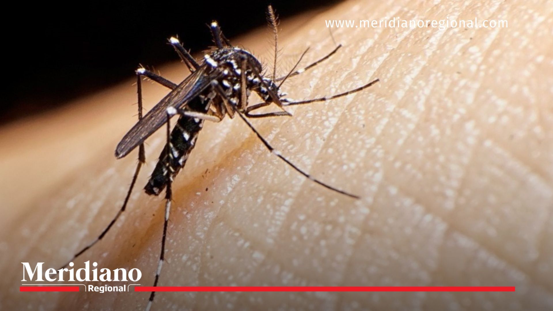 Fallece menor con sospecha de dengue e influenza en Popayán Reporte- salud- fallecimiento- menor- sospecha- dengue- influenza- Secretaría de Salud de Popayán- Hospital San José- Popayán- Cauca- Colombia-