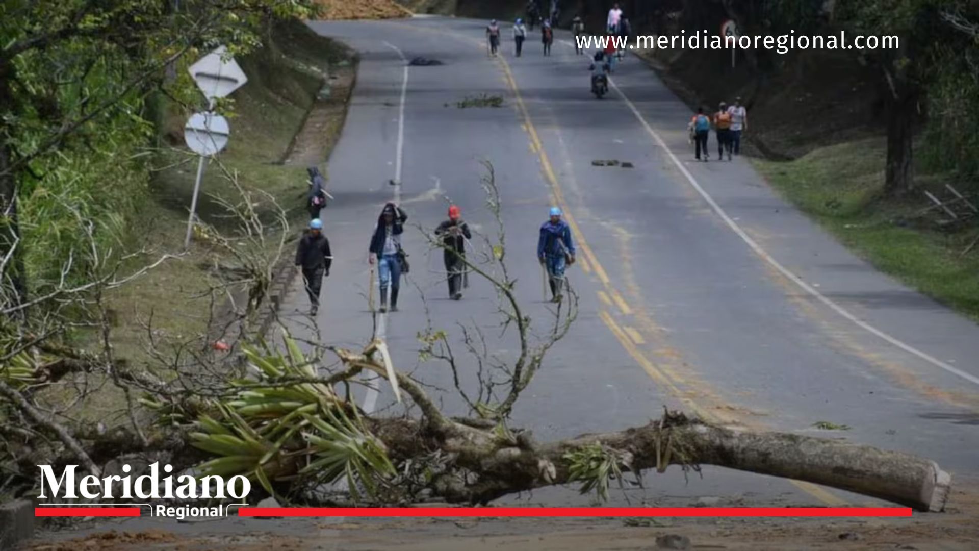 Consejo admite demanda para proteger la Vía Panamericana Aceptación- demanda- exconcejal- Juan Martín Bravo- Cali- Consejo de Estado- protección- vía- Panamericana- bloqueos- movilidad- transporte- tráfico- beneficios- 