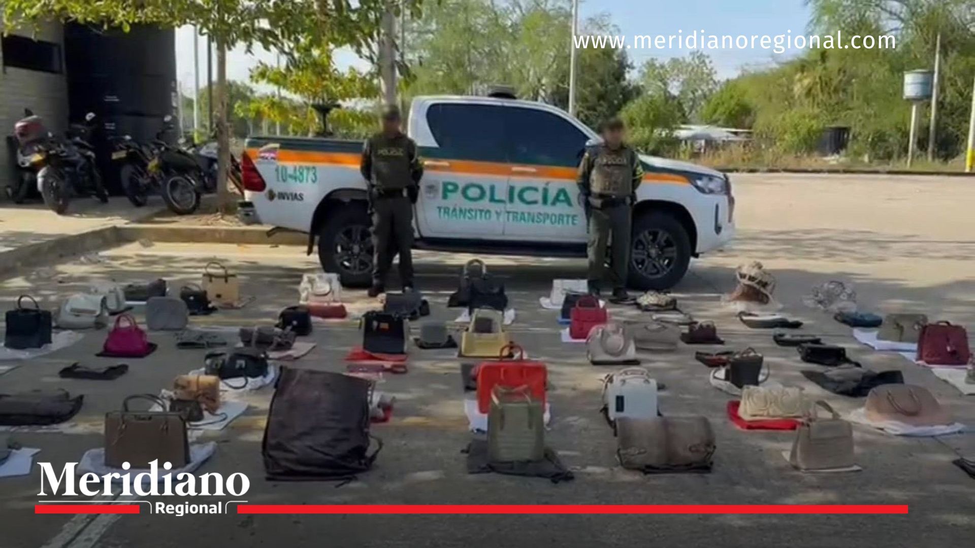 Decomisan 71 bolsos de piel de animales silvestres en Córdoba Decomiso- incautación- bolsos- pieles de animales- extinción- operativo- seguridad- Policía Córdoba- permisos- cuidado- fauna silvestre- Colombia-