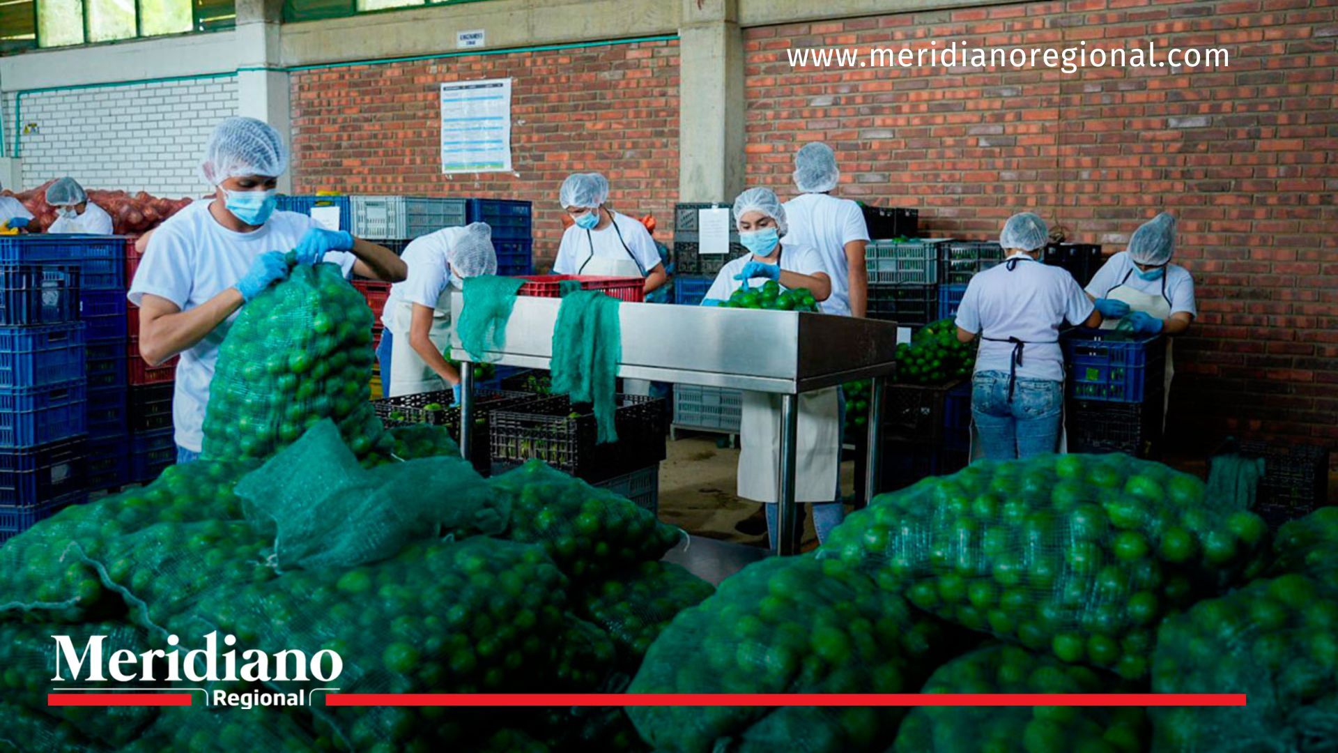 Inicia entrega de alimentos frescos para familias en Catatumbo Inicia- entrega- alimentos frescos- beneficiados- familias- alimentación- calidad de vida- comunidad- conflicto armado- Catatumbo- Gustavo Petro- Gobierno Nacional- Colombia-