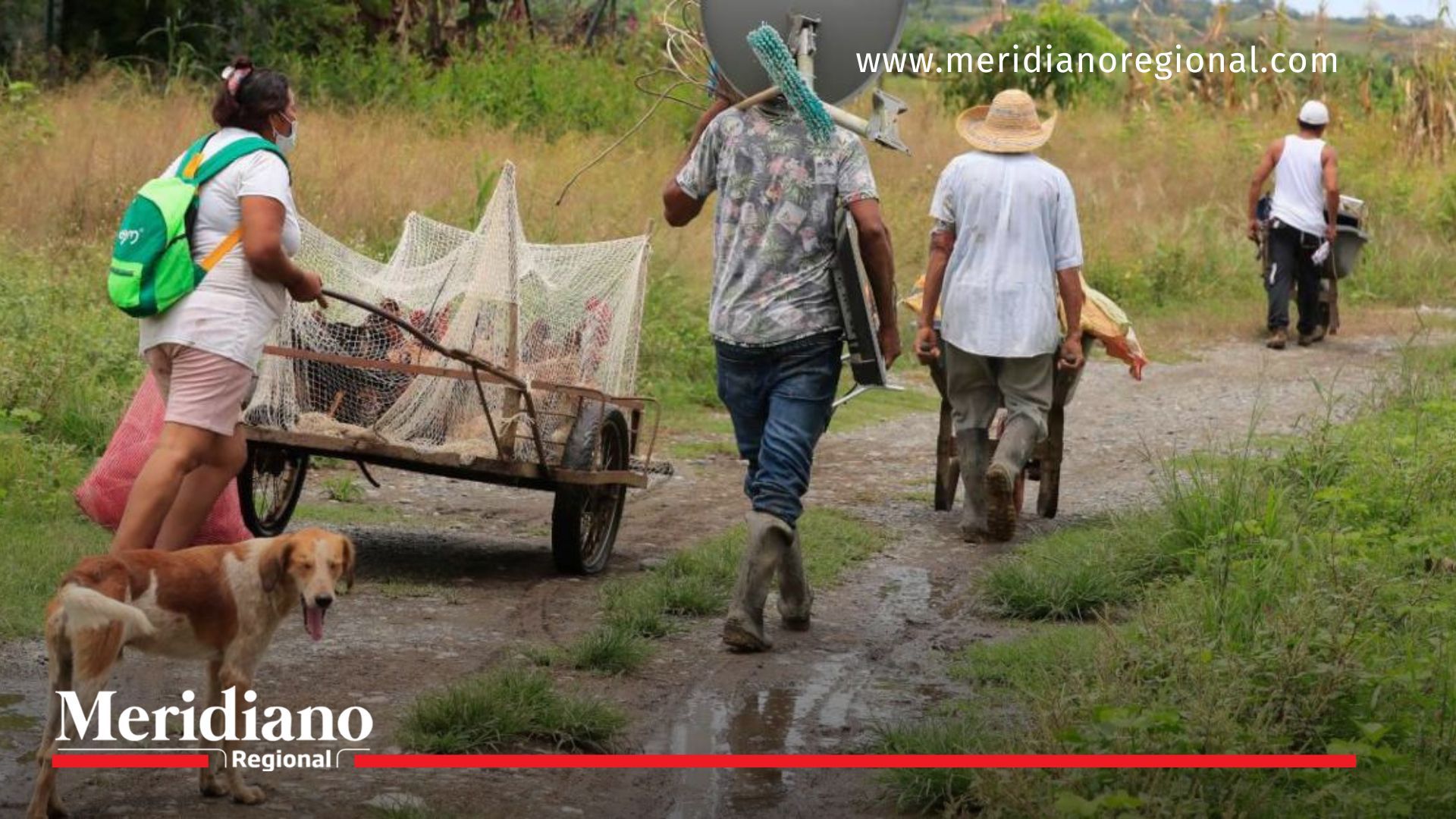 Colombia en alerta por crisis de seguridad violencia - Colombia - ELN - Chocó - crisis humanitaria - Catatumbo - toque de queda - Buenaventura - desplazamientos - conflicto armado - bandas criminales - inseguridad - autoridades-