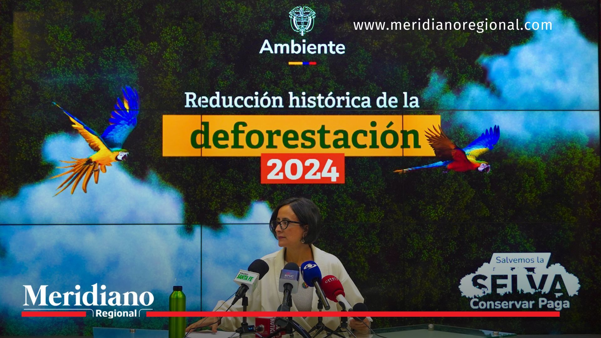 Reducción histórica de la deforestación en Colombia Colombia-deforestacion-reduccion-historica-bosques-Amazonia-medioambiente-sostenibilidad-Gobierno-del-Cambio-Plan-Nacional-de-Desarrollo-forestacion-conservacion-ecologia-