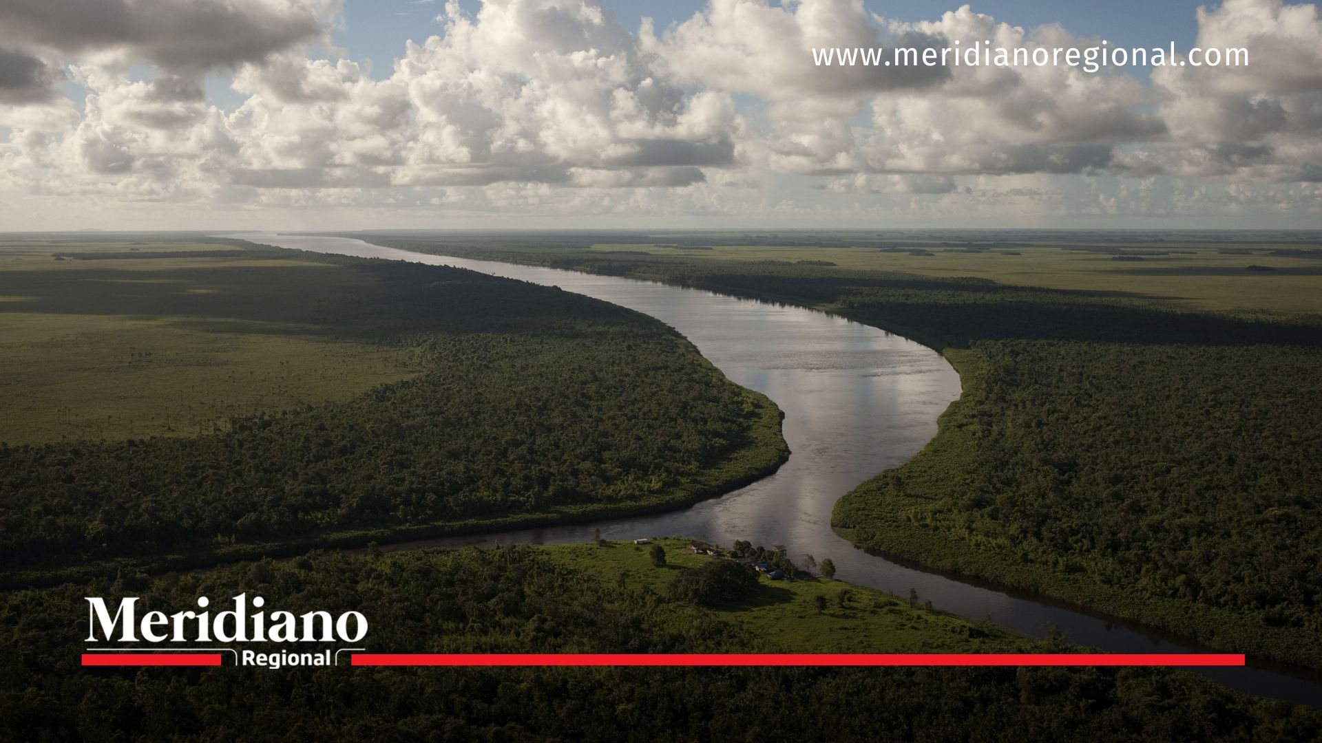Nuevas especies de peces amplían la biodiversidad en el Amazonas
