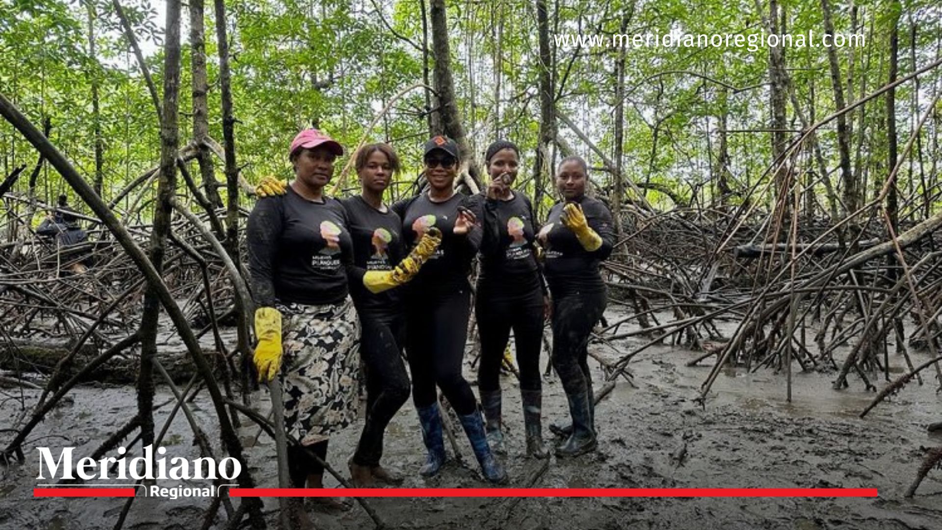 Proyecto de ley -Proyecto de ley impulsa apoyo a piangüeras proyecto-de-ley - mujeres-piangüeras - conservación-del-manglar - desarrollo-sostenible - comunidades-afrodescendientes - protección-ambiental - recolección-de-piangua - Pacífico-colombiano - subsidios-y-créditos - capacitación-productiva-Proyecto de ley -