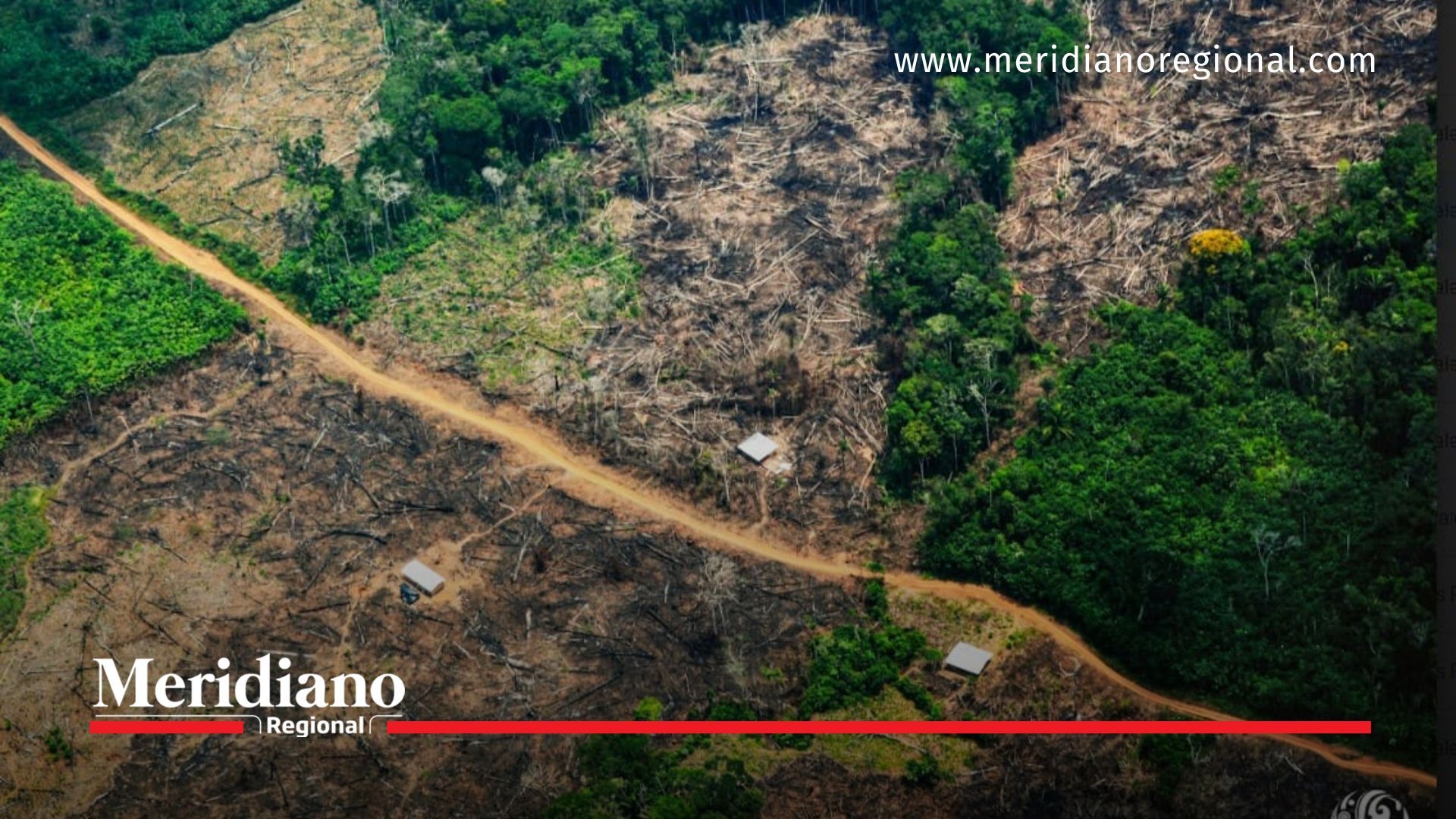 La amazonía