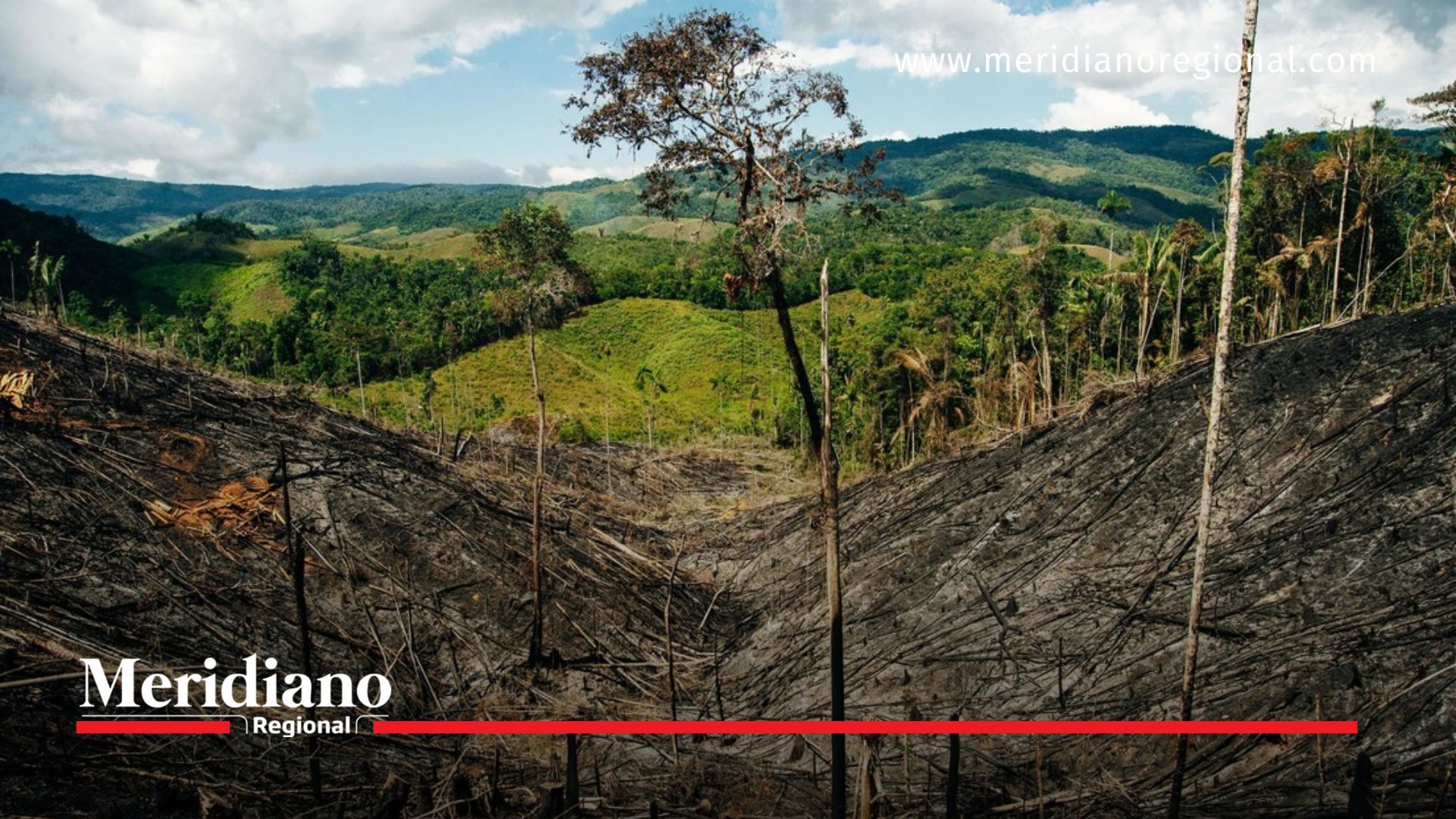 Colombia pierde sus Bosques