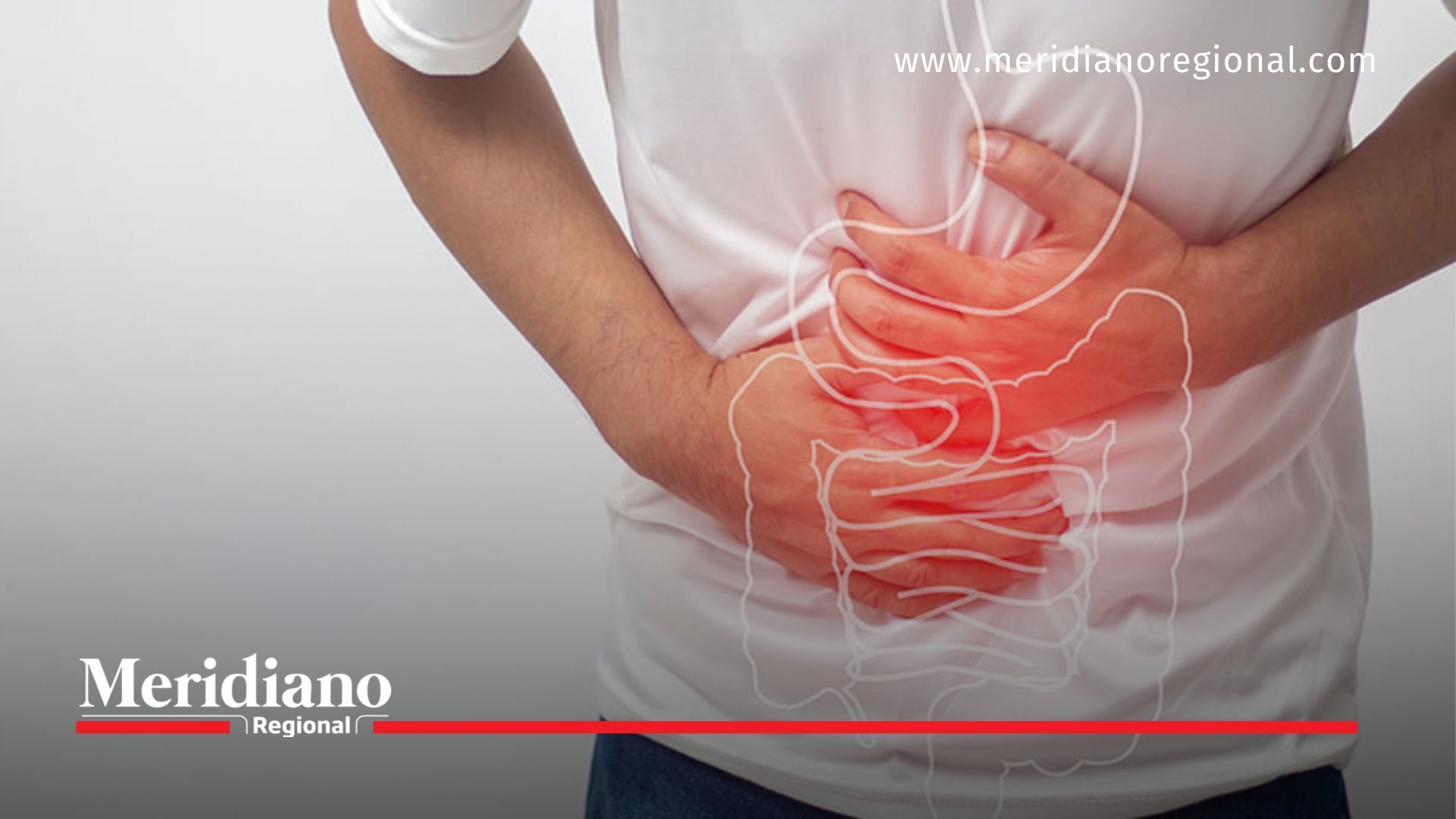 Microbioma intestinal: clave para tu salud
