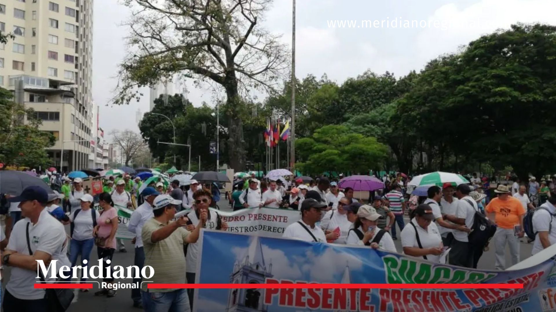docentes -Docentes del Valle se van a paro por crisis de salud docentes-valle-paro-salud-crisis-magisterio-fecode-sutev-pago-oportuno-atencion-medica-acuerdo-2024-docentes -