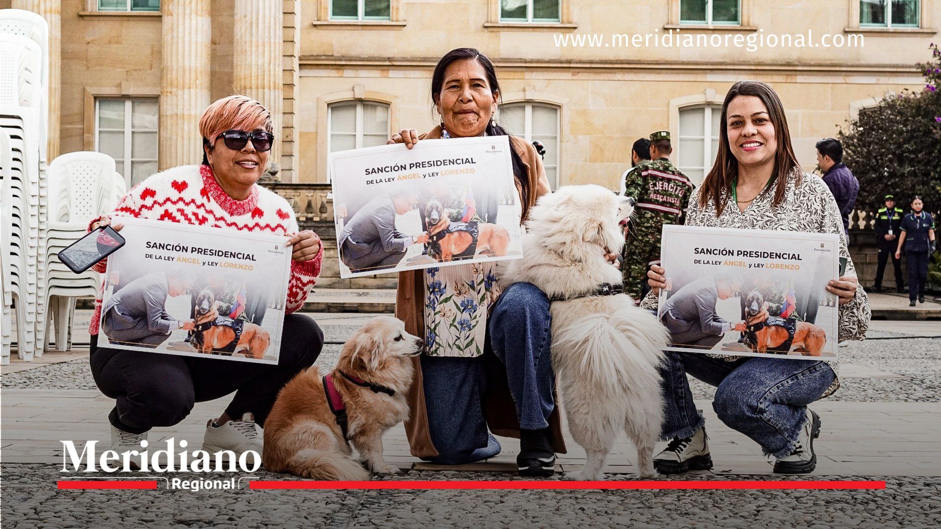 colombia -Colombia endurece castigos por maltrato animal colombia-endurece-castigos-maltrato-animal-ley-ángel-ley-lorenzo-protección-animal-cárcel-agresores-ruta-nacional-denuncia-tecnología-vigilancia-perros-maltratados-colombia -