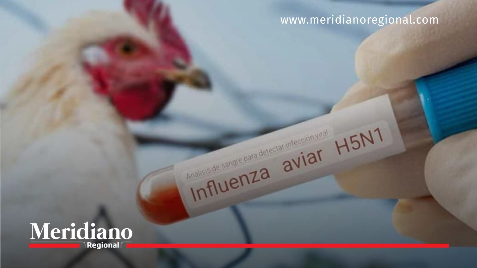 secretaría de salud -Secretaría de Salud confirmó primer caso humano de gripe aviar Secretaría-de-Salud - gripe-aviar - primer-caso-humano - influenza-H5N1 - niña-enferma-Durango - hospital-Torreón - alerta-sanitaria - influenza-zoonótica - caso-H5N1-México - vigilancia-epidemiológica-secretaría de salud -