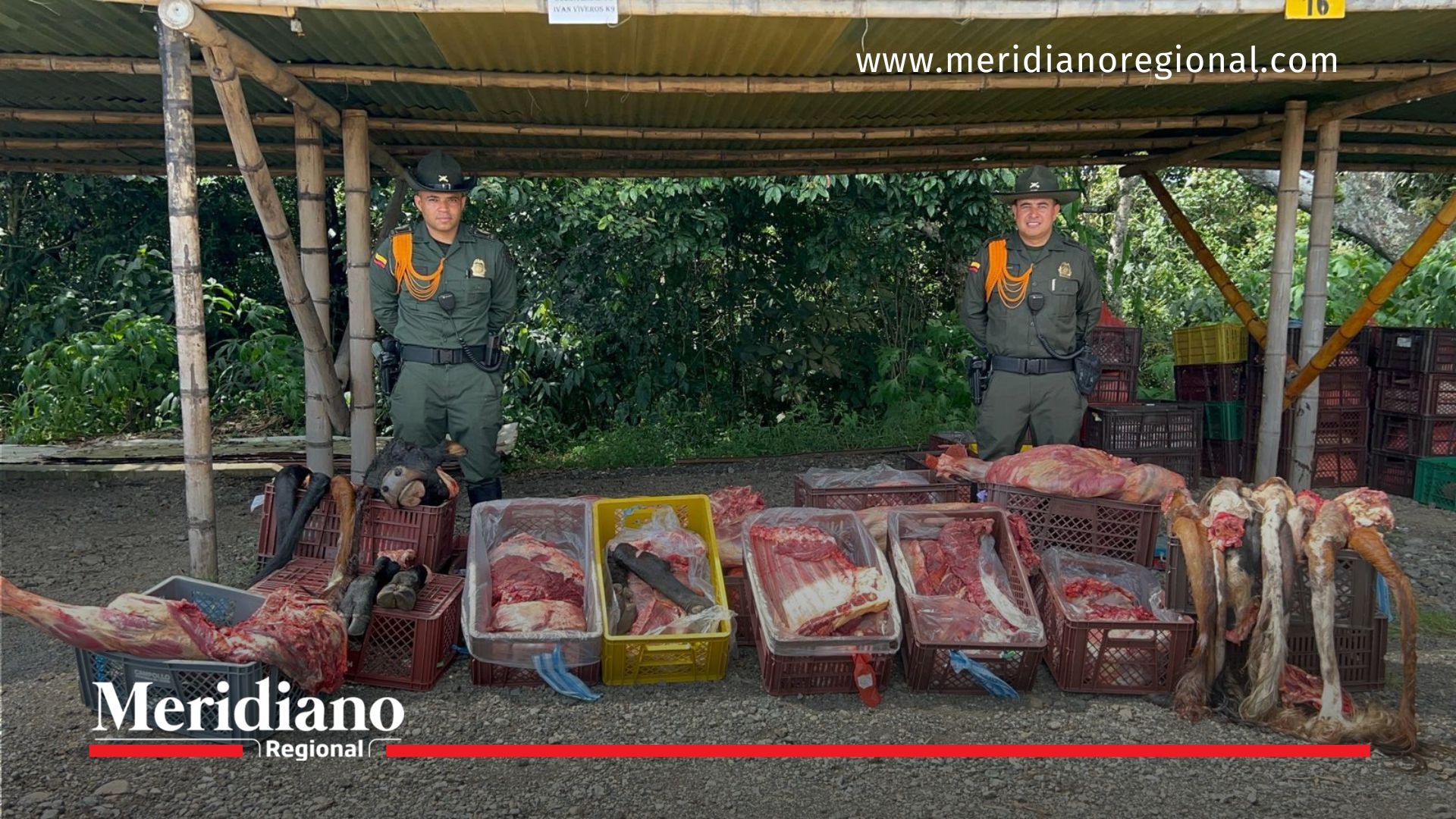 Carne bovina sin control sanitario fue decomisada carne-bovina–carne-sin-documentos–carne-ilegal–carne-sin-invima–carne-decomisada–Popayán–camión-con-carne–incautación-carne–Secretaría-de-Salud–Policía-Nacional–control-sanitario–riesgo-alimentario–carne-no-apta-