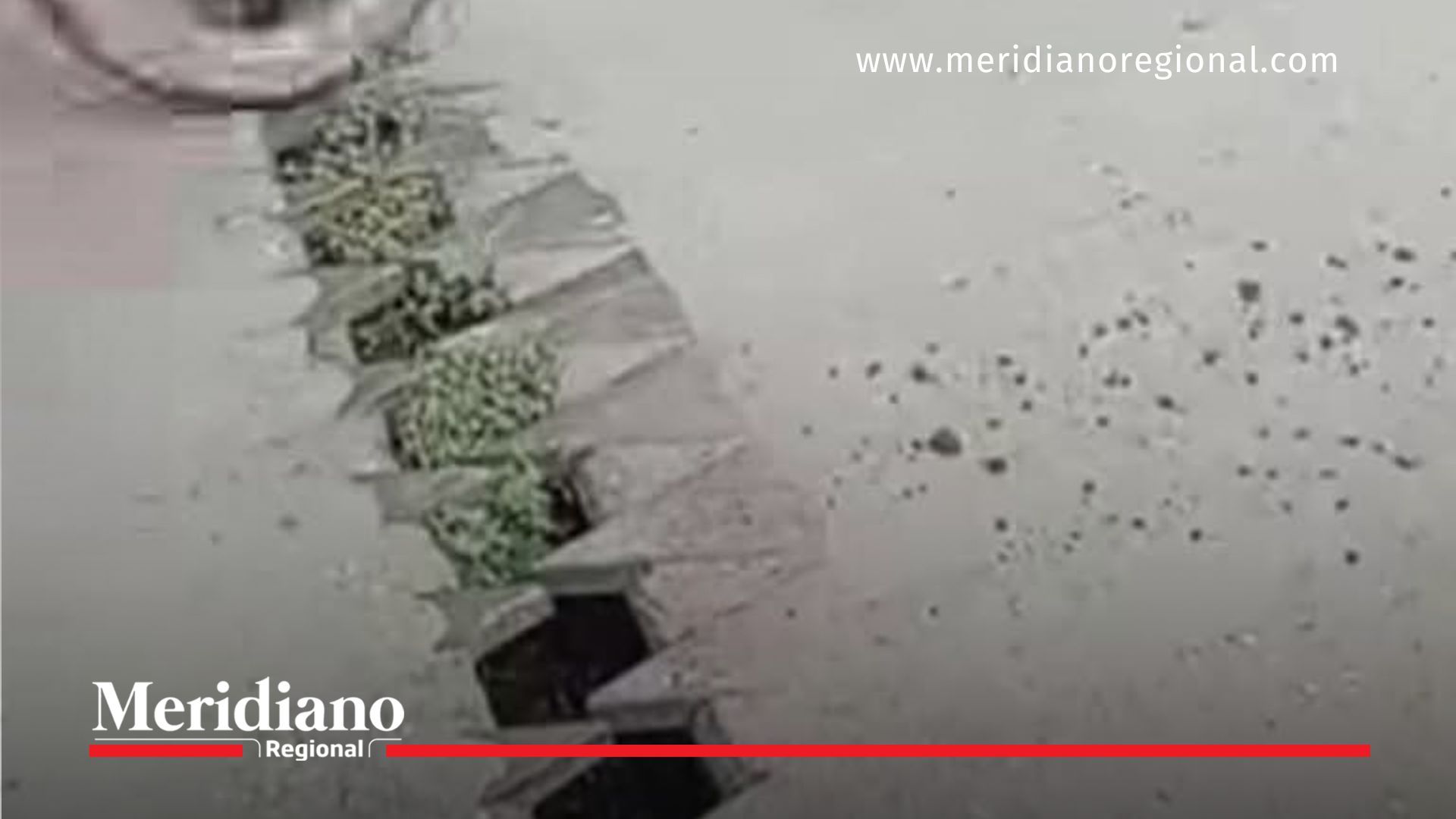 el puente -El puente hacia el aeropuerto al borde del colapso puente-cencar-aeropuerto-valle-del-cauca-deterioro-colapso-cierre-desvío-gobernación-del-valle-dilian-francisca-toro-agencia-nacional-de-infraestructura-ani-rutas-del-valle-yumbo-riesgo-vial-el puente -