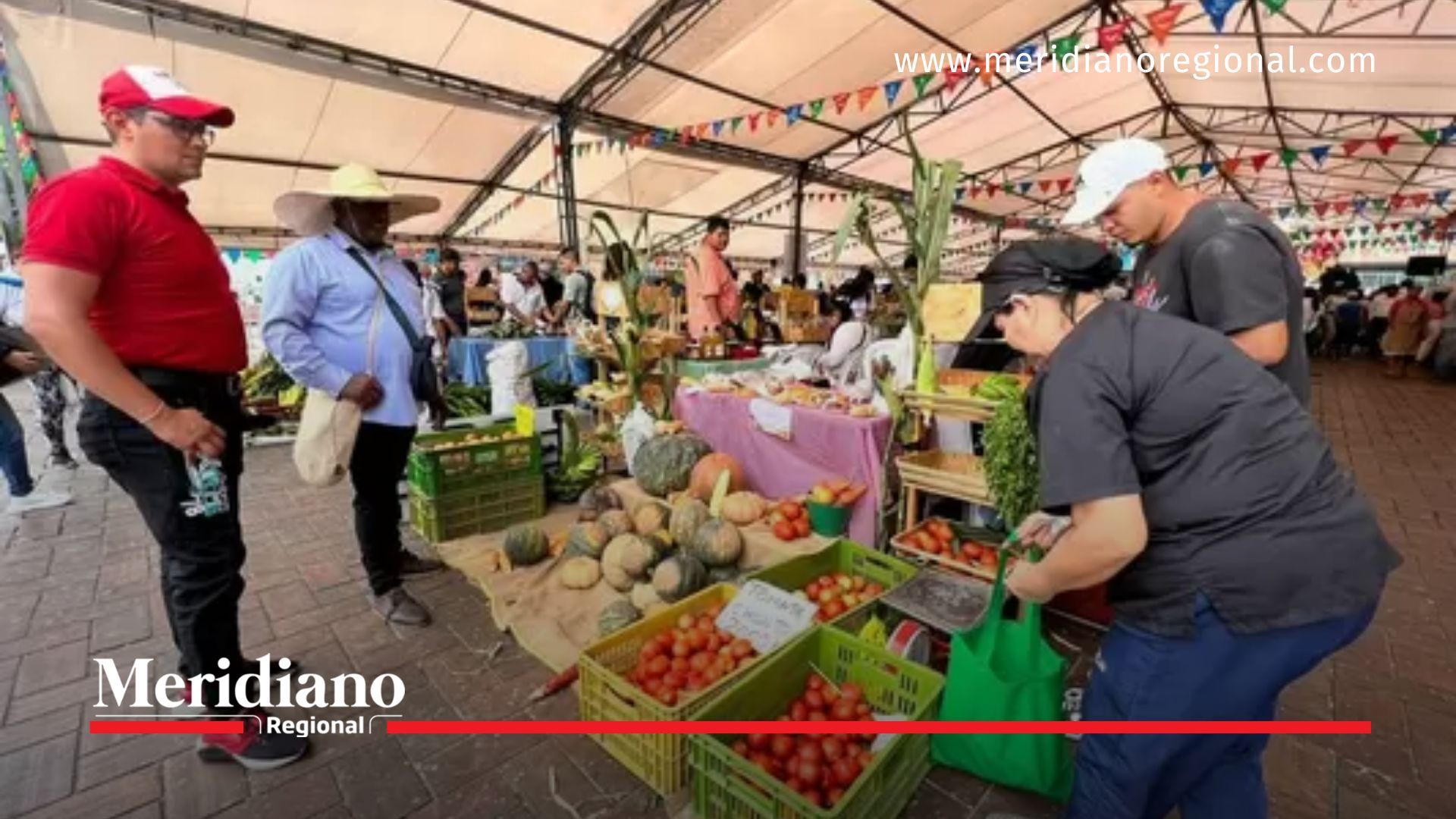 Gobernación del Valle impulsa compra a pequeños productores