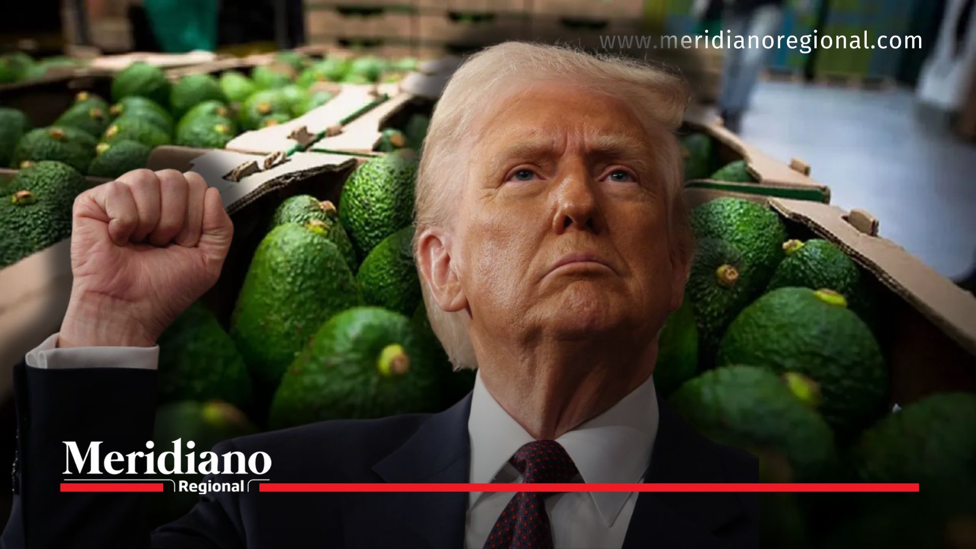 Exportaciones de aguacate Hass colombiano será impactado por arancel impuesto por Trump