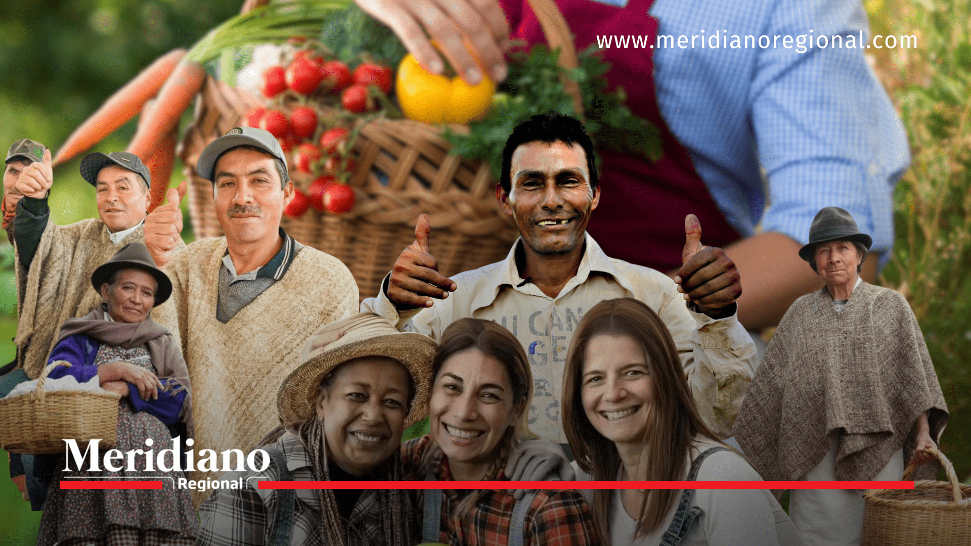 acuerdo-de-paz, proyecto-productivo, toribío-cauca, firmantes-de-paz, comuneros-nasa, cultivo-de-tomate, plan-de-desarrollo-territorial, programa-PDET,