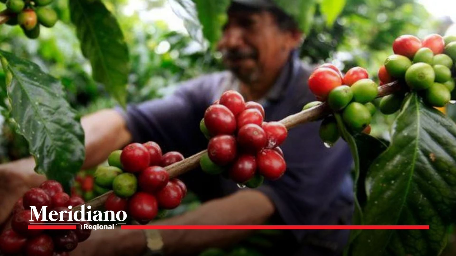 colombiano