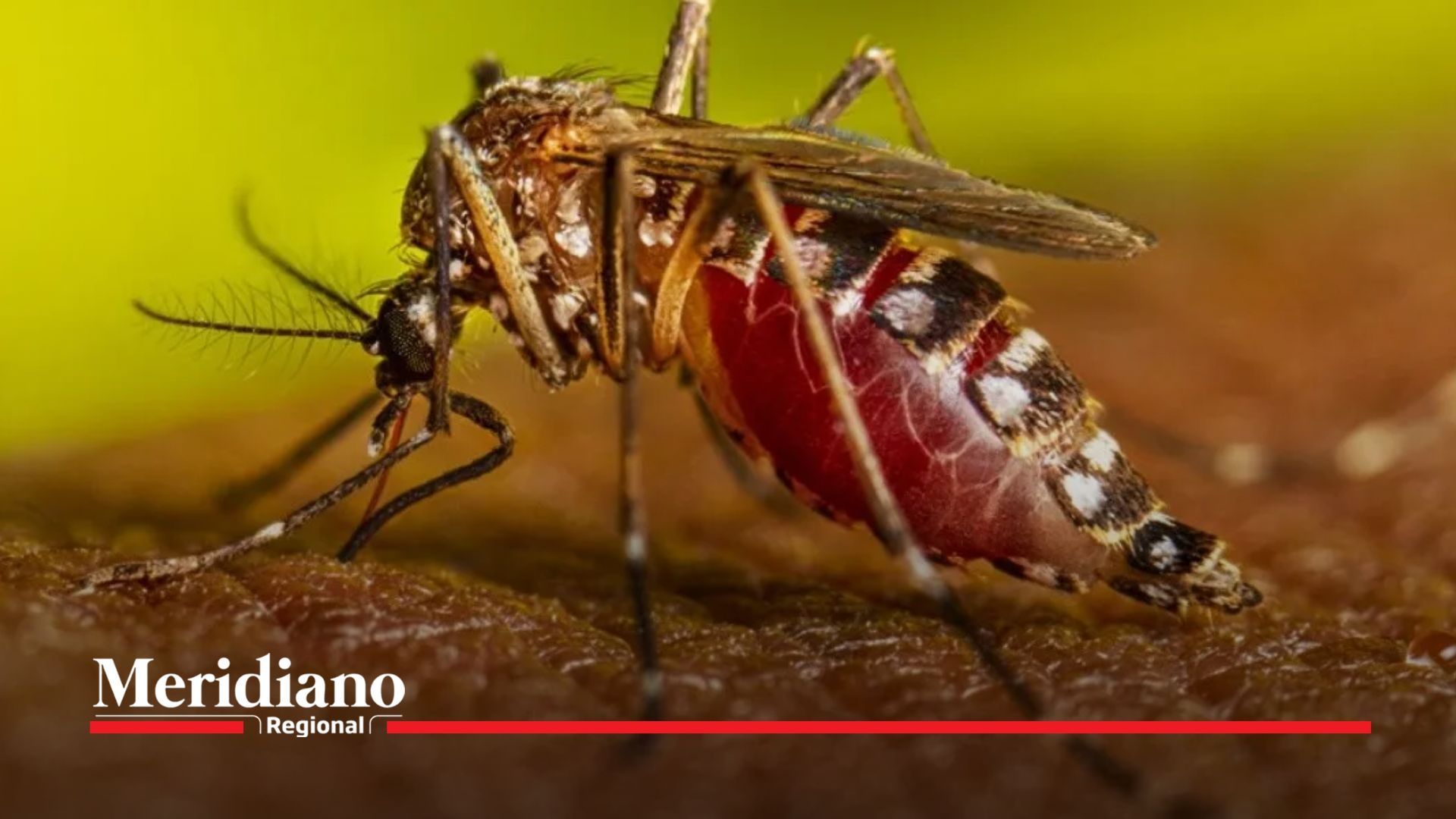 Alarma por dengue en Huila: ya van 2.600 casos - por dengue - dengue-huila casos-de-dengue-en-huila dengue-neiva noticias-huila noticias salud-pública noticias-cauca noticias-valle noticias-nariño noticias-chocó
