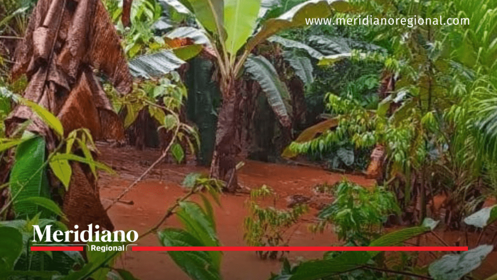 lluvias-en-piamonte, emergencia-climática-cauca, cultivos-destruidos, comunidades-afectadas, desastre-natural-cauca, noticias-cauca, noticias-nariño, noticias-valle, noticias-chocó, noticias-colombia