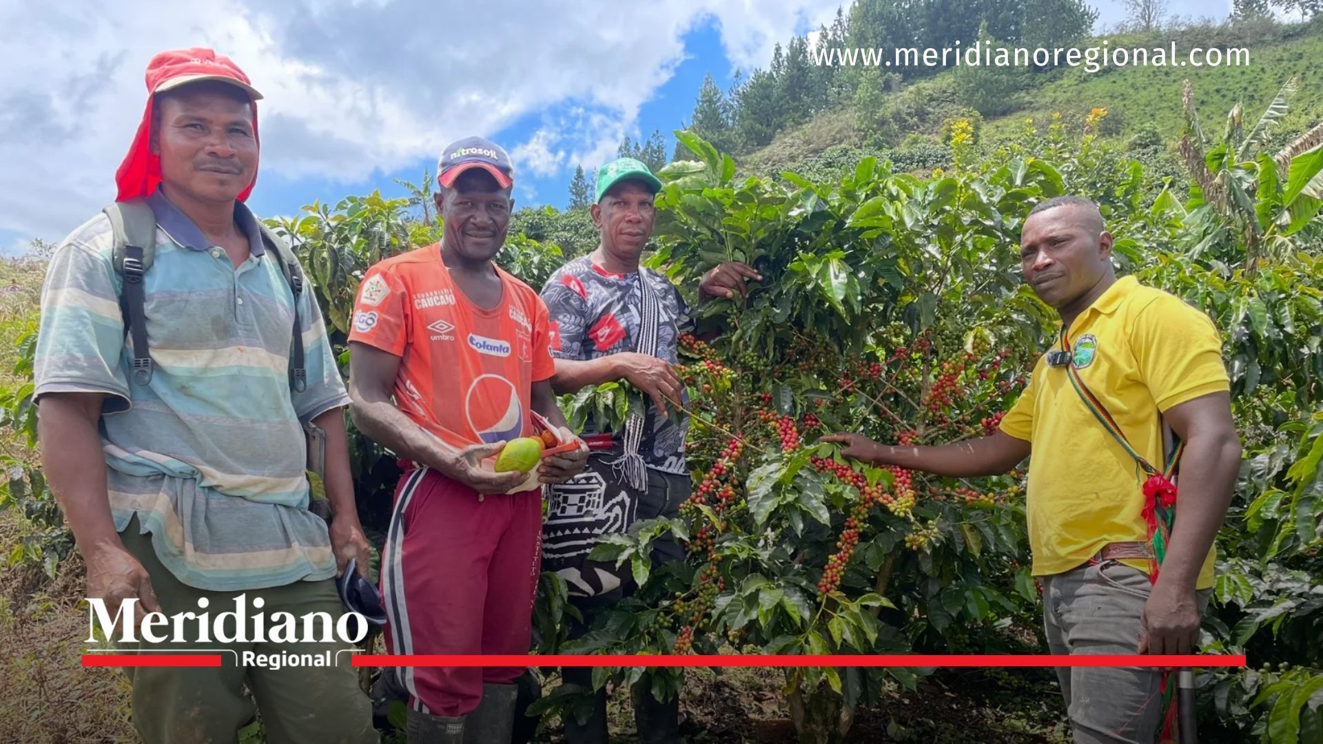 Celsia impulsa la caficultura en el norte del Cauca