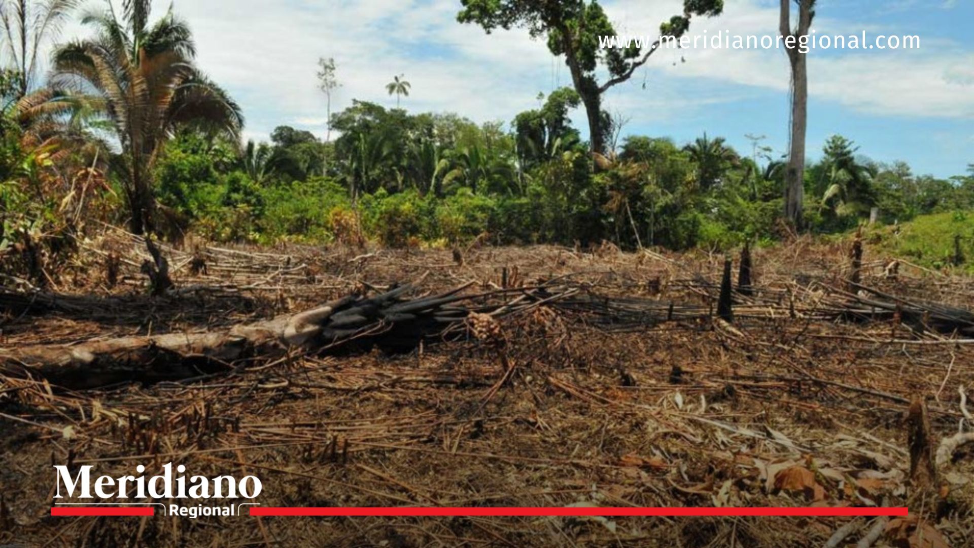 deforestación-colombia - amazonía-colombiana - parques-naturales-afectados - crisis-ambiental - bosques-colombia - ministerio-de-ambiente - lena-estrada - conflicto-armado - disidencias-farc - crimen-ambiental - noticias-colombia - noticias-putumayo - noticias-caquetá - noticias-meta - noticias-guaviare - noticias-amazonia