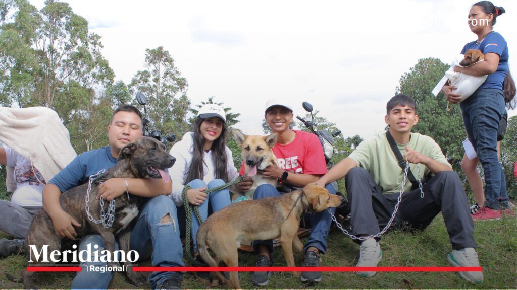 Beneficiaria abraza a su gato tras jornada de esterilización gratuita en Popayán - Meridiano Regional noticias Popayán - esterilización gratuita - bienestar animal - Secretaría de Salud Municipal - comunidad Popayán