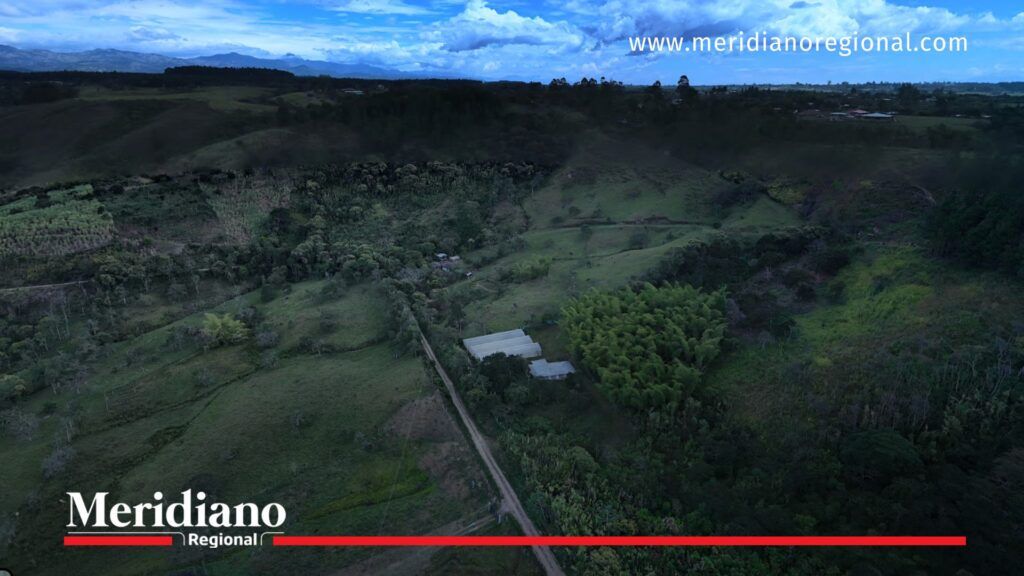 Zona rural de La Rejoya Popayán - Meridiano Regional La Rejoya Popayán - homicidio en La Rejoya - violencia rural Popayán - asesinato Leónidas Caicedo - noticias Popayán - noticias Cauca