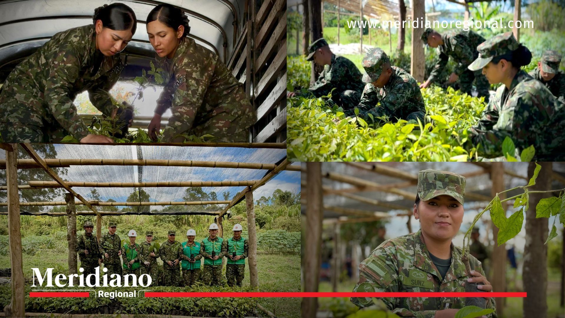 noticias cauca - reforestación cauca - ejército nacional - soldados siembran vida - noticias nariño - noticias valle del cauca
