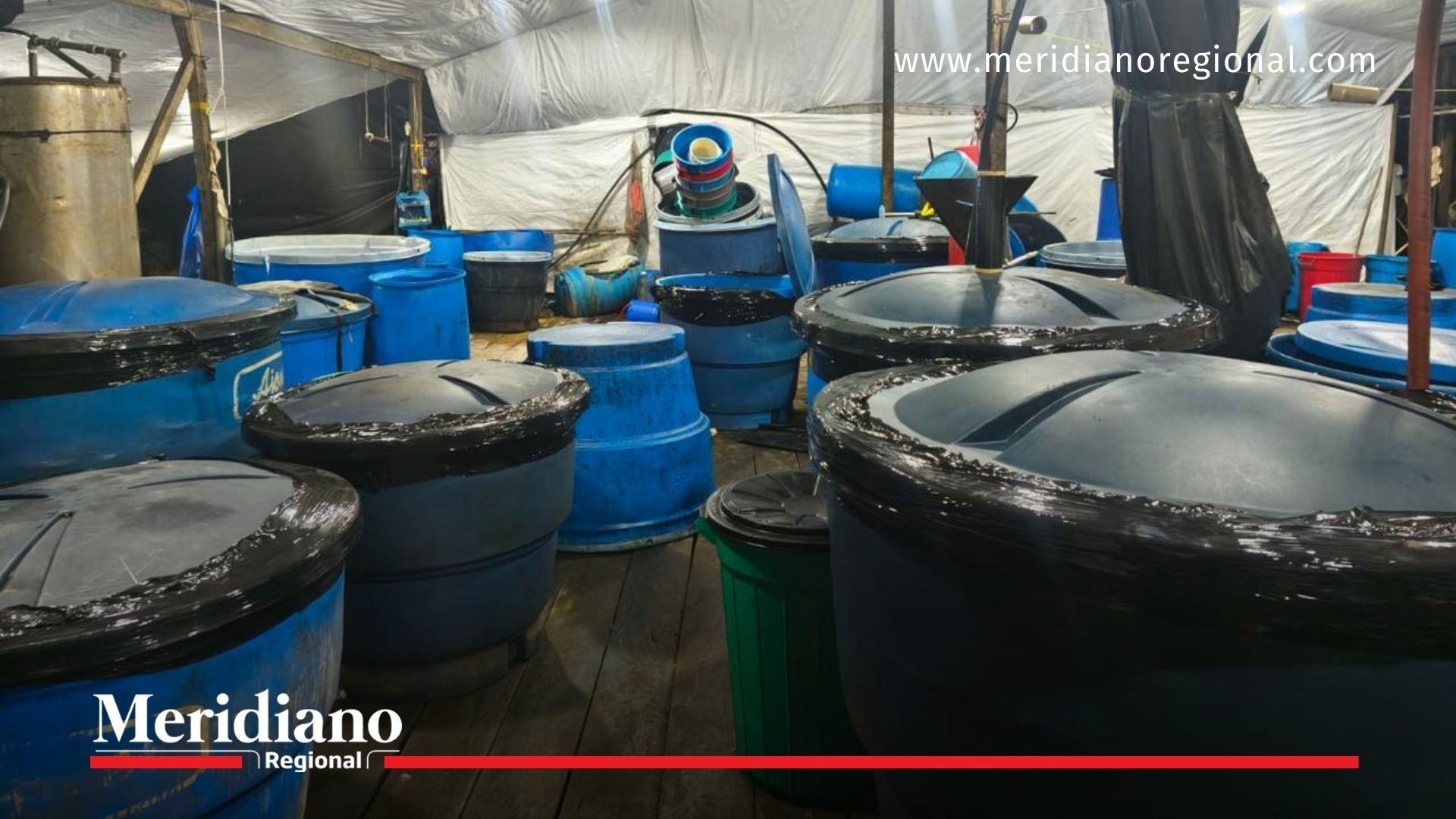 noticias Cauca - megalaboratorio en El Tambo - narcotráfico en Cauca - Ejército Nacional Cauca - alias Iván Mordisco - GAO-r Carlos Patiño