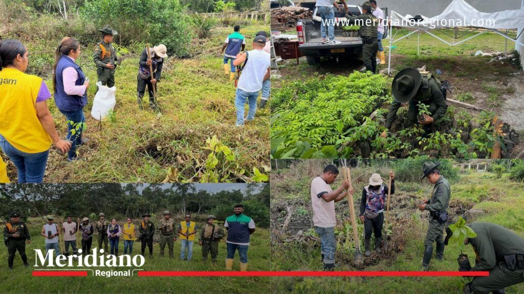 policía sembró 500 árboles en tumaco - jornada ambiental tumaco - siembra de árboles pacífico nariñense - policía nacional nariño