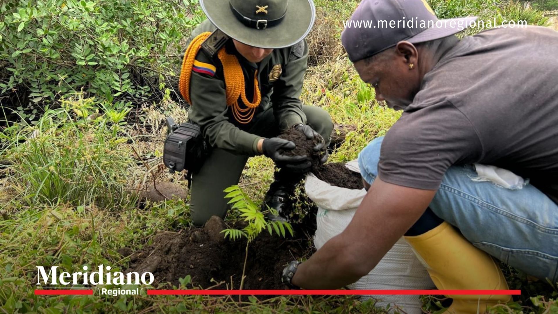 Un ciudadano y un uniformado de la Policía Nacional trabajan juntos en la siembra de árboles nativos en Tumaco.
