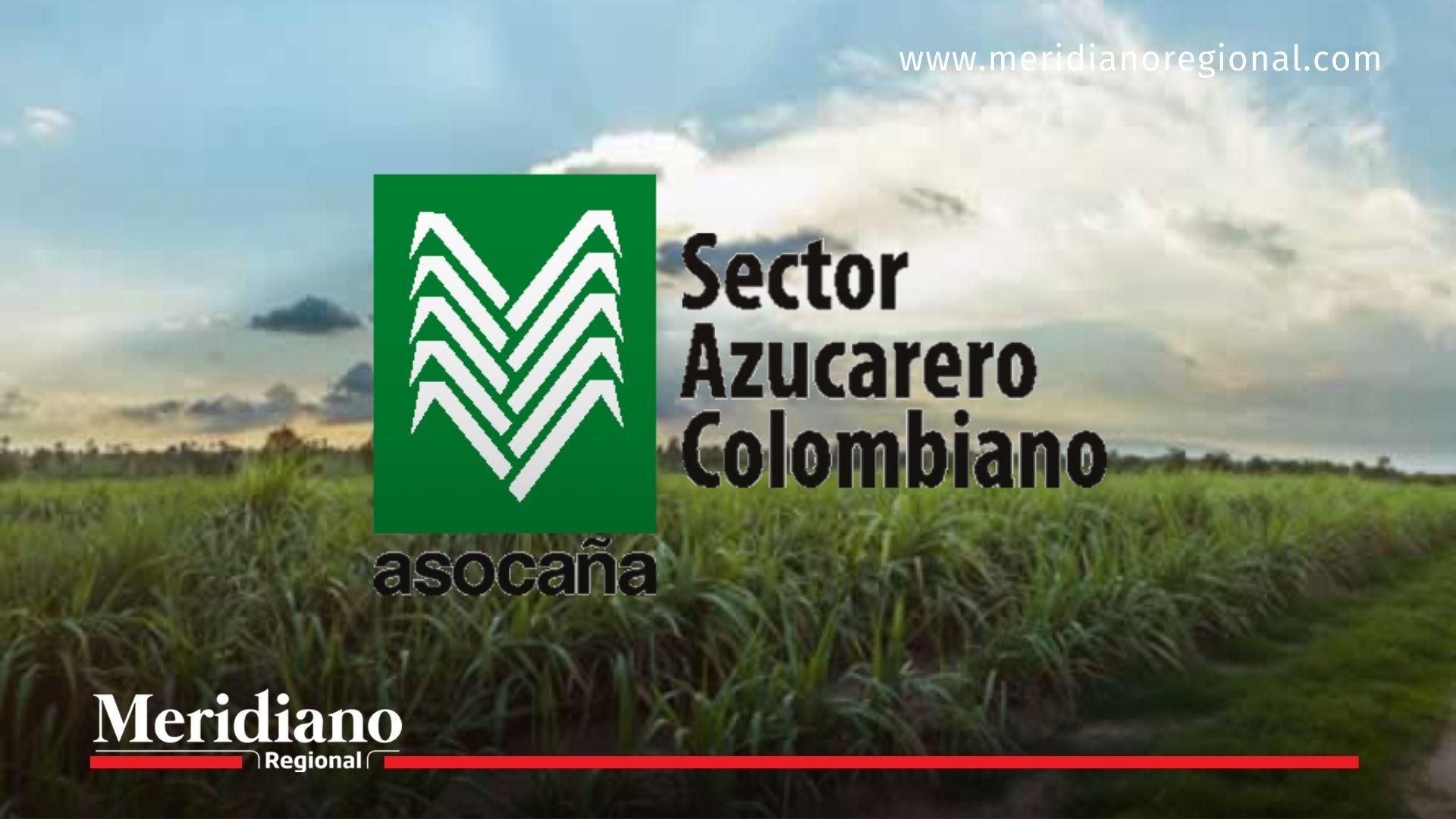 sector cañero - violencia en el Valle - agroindustria de la caña - Asocaña - trabajadores cañeros - noticias Cauca - noticias Valle
