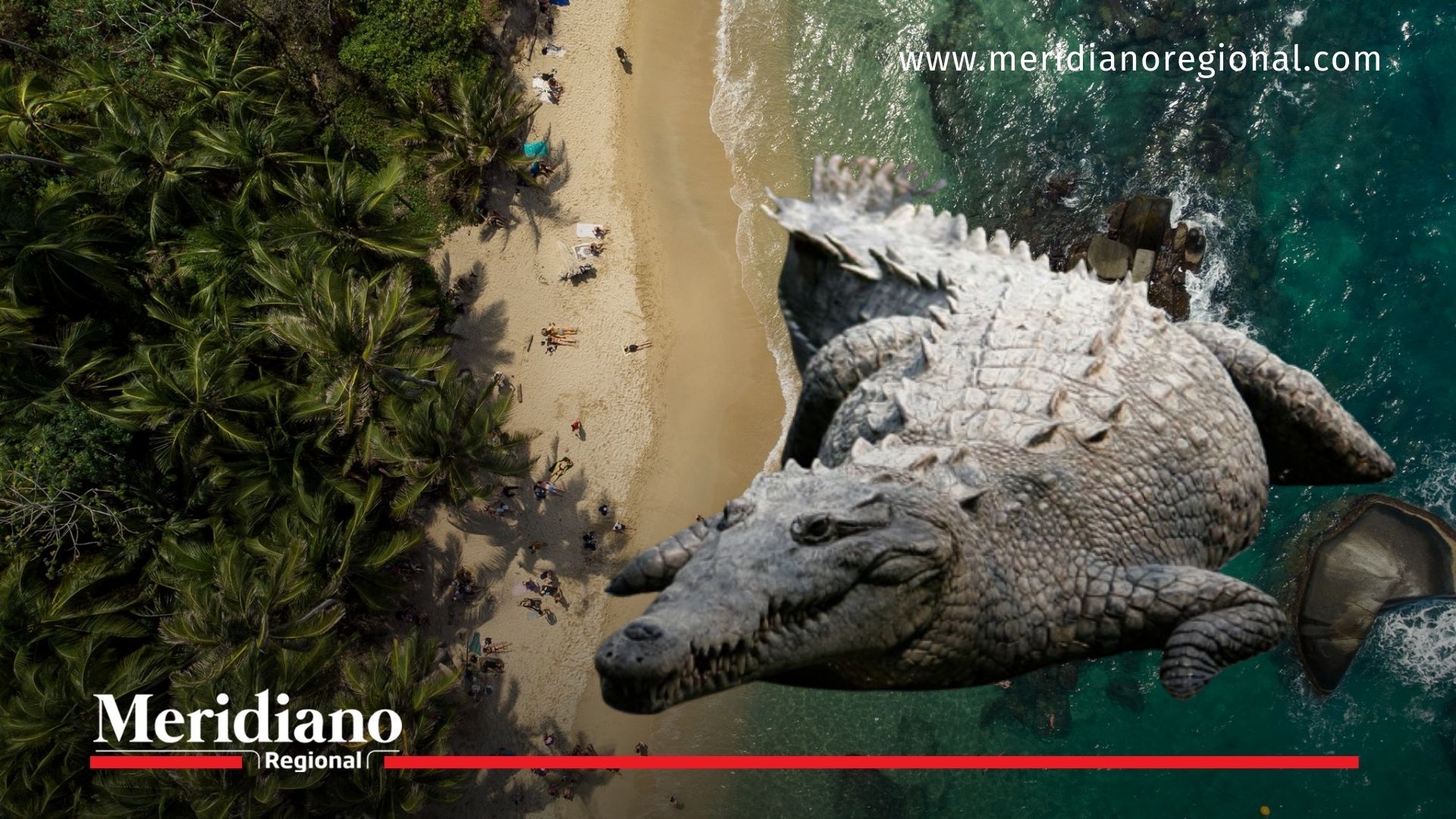 caimán Parque Tayrona - turistas en peligro Tayrona - caimanes en el Tayrona - fauna silvestre