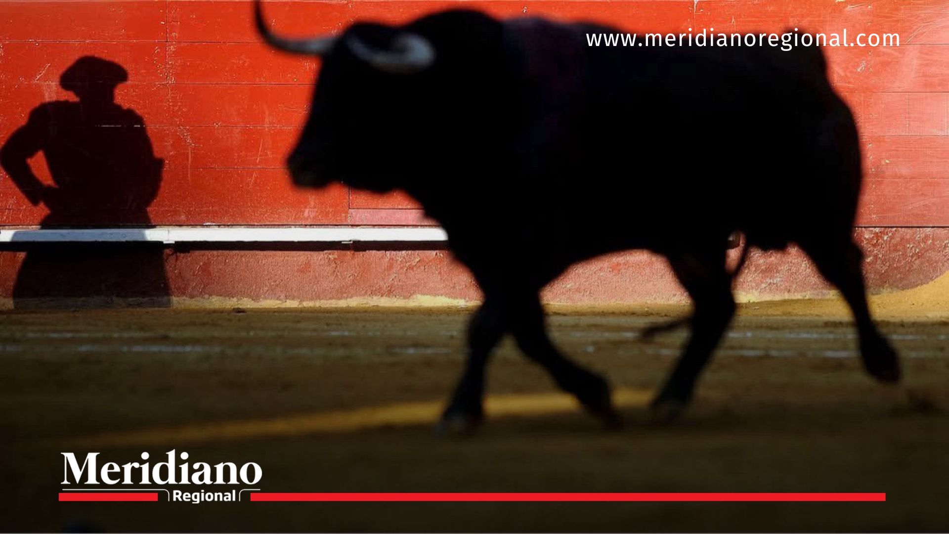 prohibición corridas de toros en Colombia - ley No más Olé - fallo Corte Constitucional contra maltrato animal