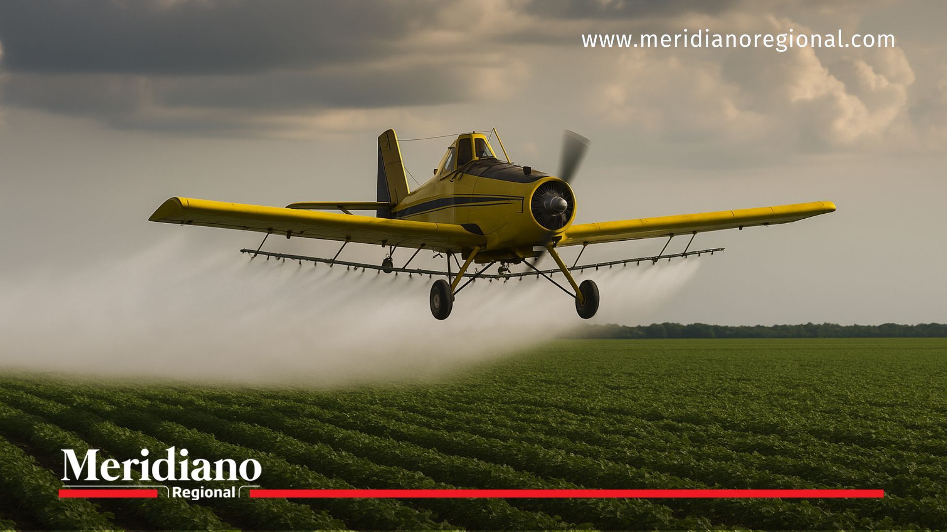 avión fumigación aérea con glifosato - cultivos ilícitos Cauca - noticias Colombia