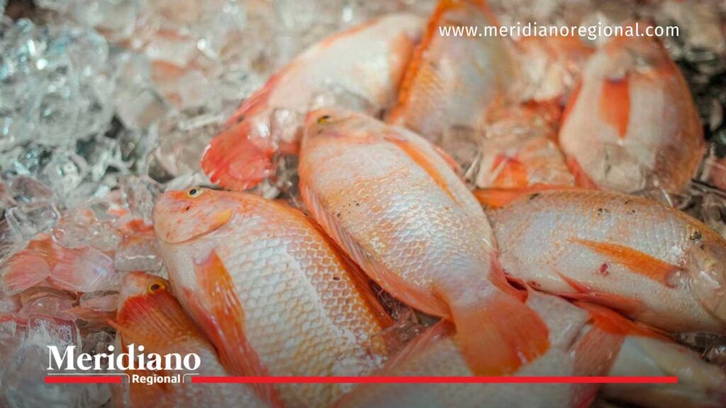 Proyecto de Alianzas Productivas impulsa la piscicultura en Colombia - Meridiano Regional ruedas de negocios - asociaciones campesinas - alianzas productivas