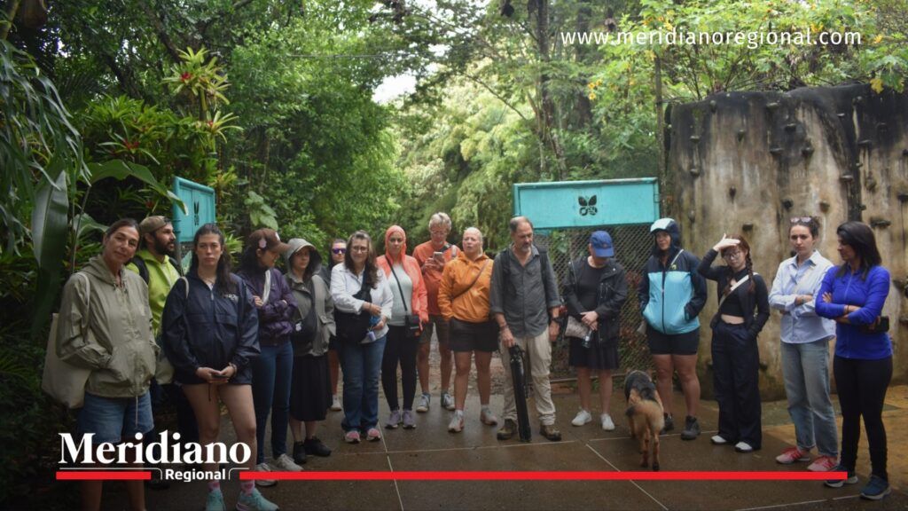 noticias Cali - turismo de naturaleza en Cali - ecoturismo en Cali - experiencias de naturaleza Cali - mariposario Andoke - Ecoparque Cristo Rey - San Felipe Birding - turismo sostenible en Cali
