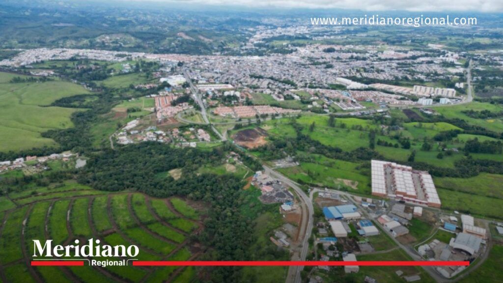 Variante Sur de Popayán y caso Milagros - Meridiano Regional noticias Popayán - Variante Sur Popayán - Ley Ángel - maltrato animal Popayán - comunidad animalista Cauca
