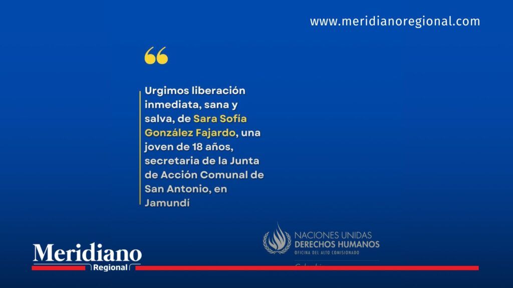 exto alternativo (para SEO):ONU derechos humanos Colombia pide liberación de Sara Sofía González Fajardo, secretaria de acción comunal en Jamundí.
