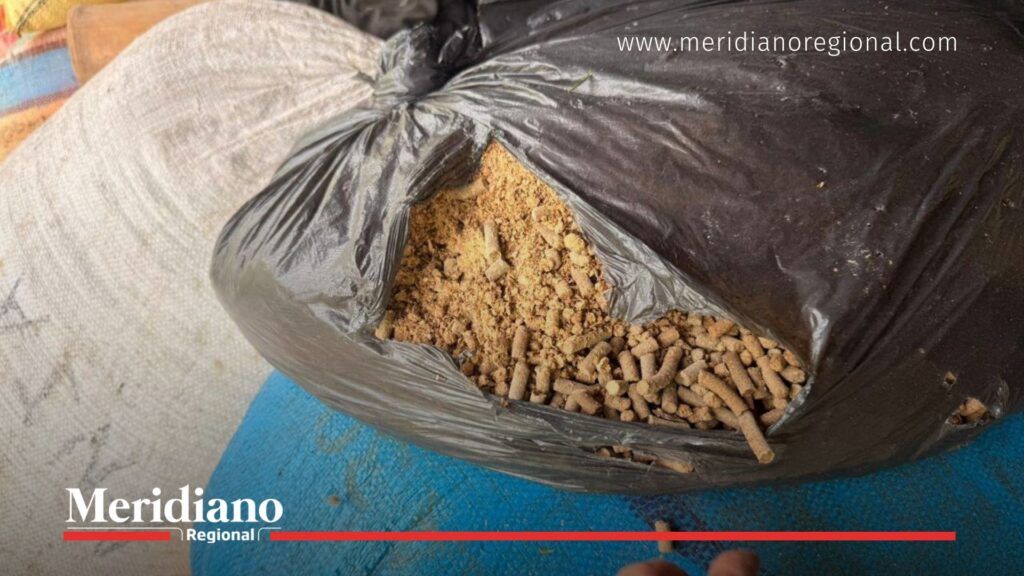 Cocaína camuflada en café hallada en laboratorio del Cauca - Meridiano Regional Sacos con pellets de café impregnados con cocaína hallados en un laboratorio del Cauca durante un operativo del Ejército, la Policía y la DEA.