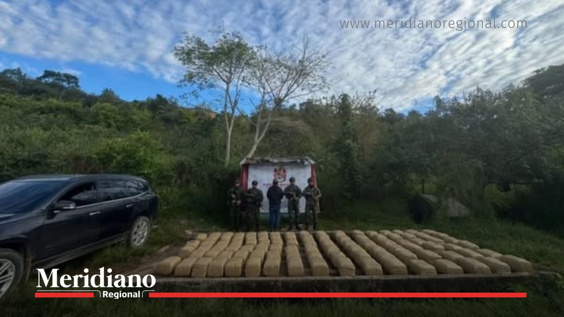 ejercito-nacional - marihuana-del-cauca - incautacion-la-plata-huila - bloque-central-isaias-pardo