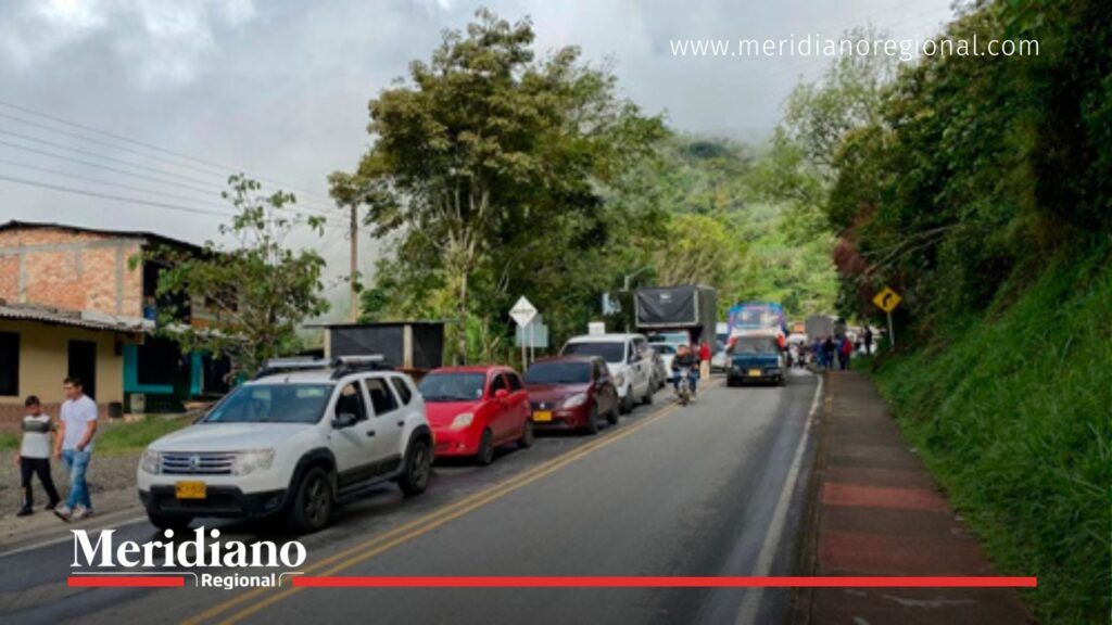 carretera-panamericana-rosas-cauca - lavado-de-activos-en-cauca - control-vial-cauca - policia-nacional-cauca