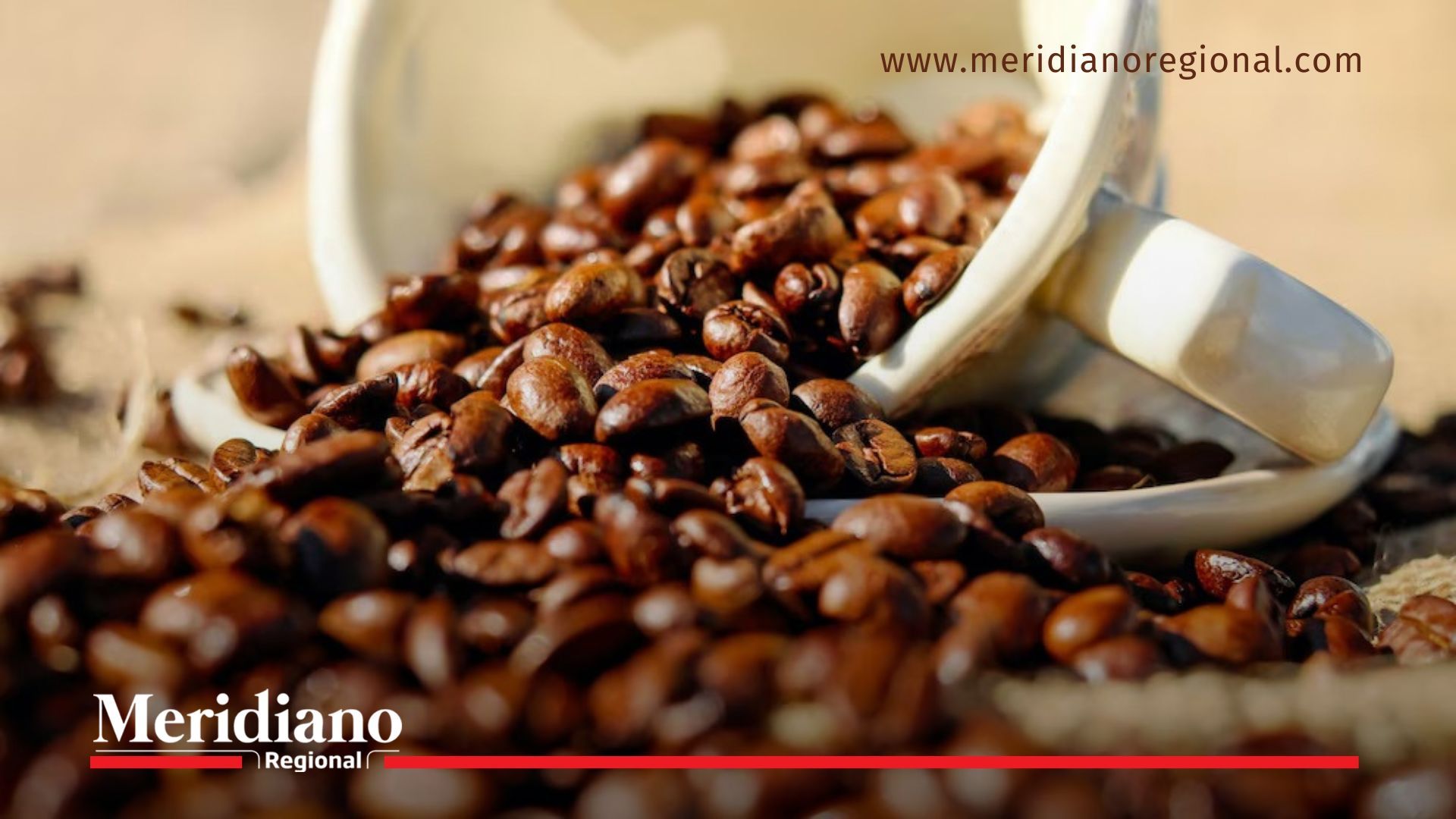 Café en grano caucano tipo exportación, símbolo del éxito de la cosecha cafetera en Colombia 2024-2025.