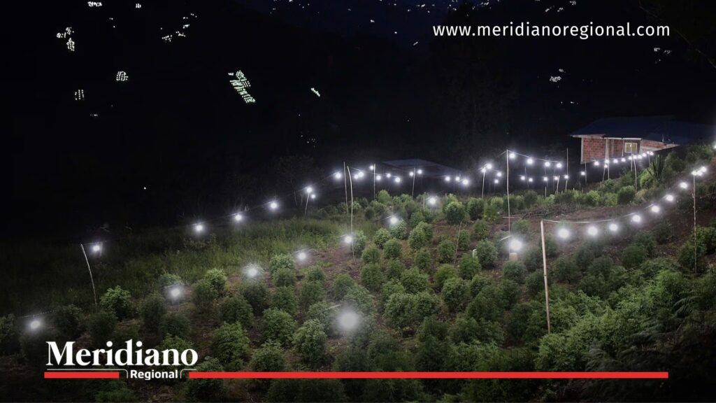 - Meridiano Regional