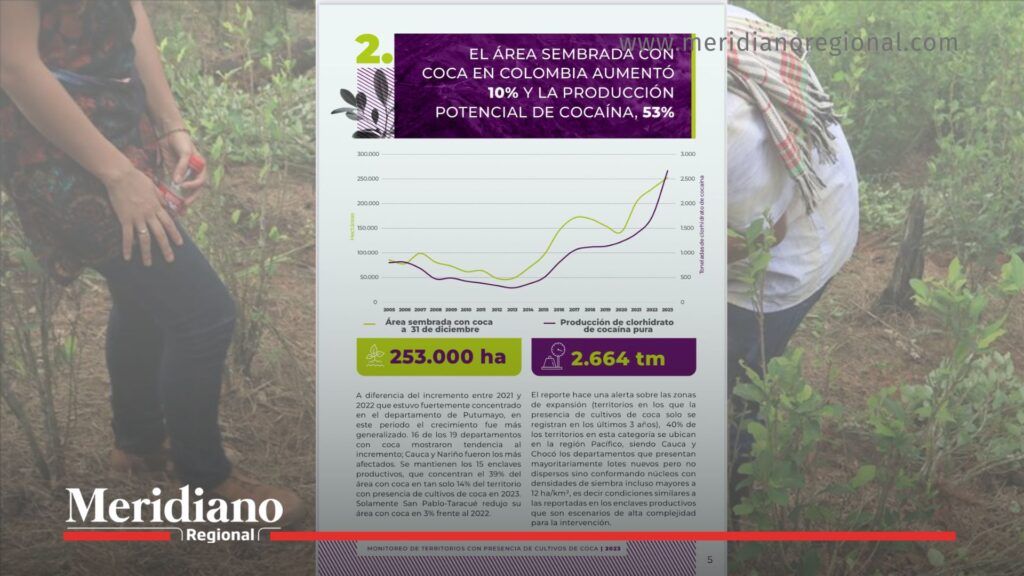 Informe de la ONU sobre cultivos ilícitos en el Cauca - Meridiano Regional informe-unodc - cultivos-ilicitos-en-el-cauca - crisis-ambiental - seguridad-regional