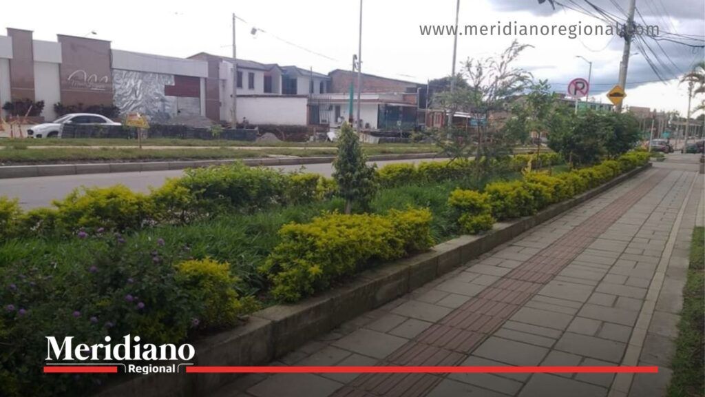 vía-al-bosque-popayán - intolerancia-vial-popayán - agresión-en-vía-popayán