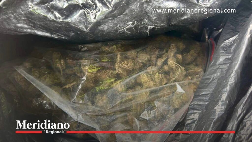 microtráfico-en-popayán - marihuana-incautada - barrio-tomás-cipriano - operativo-policial - seguridad-en-popayán