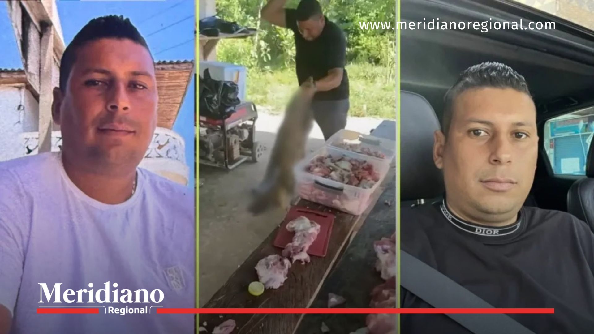 autoridades investigan caso de maltrato animal en Sonsón - Fiscalía Antioquia - recompensa por información sobre agresor de perro