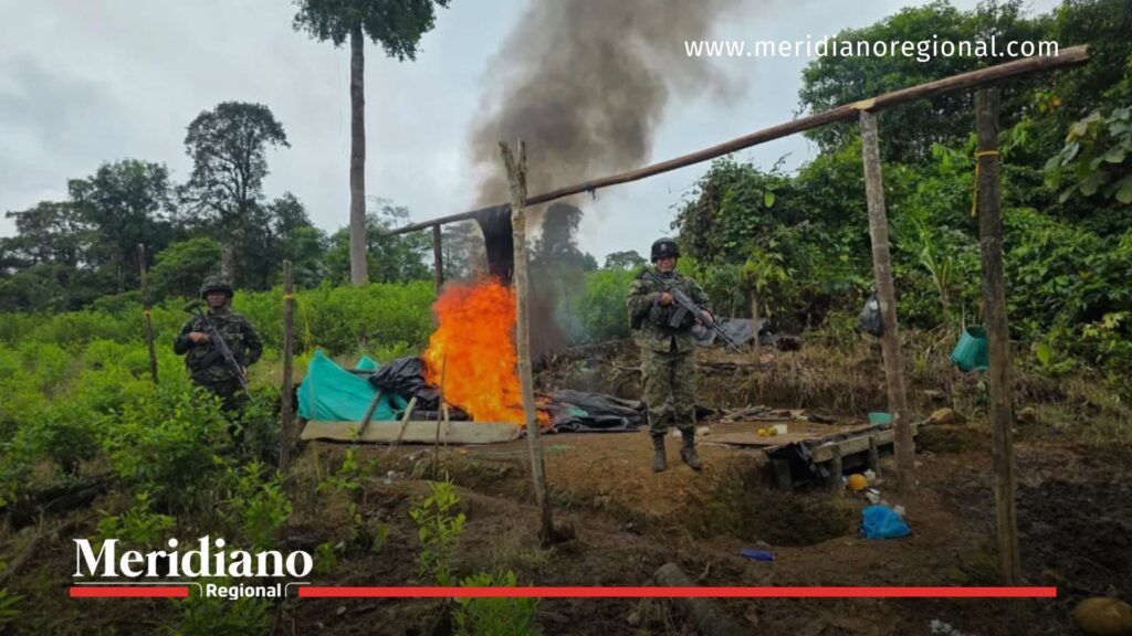 Ejército destruye laboratorio Chanul en Barbacoas, Nariño - Meridiano Regional soldados del ejército destruyen laboratorio chanul en barbacoas nariño - fuerza de tarea hércules - gao comuneros del sur - narcotráfico pacífico