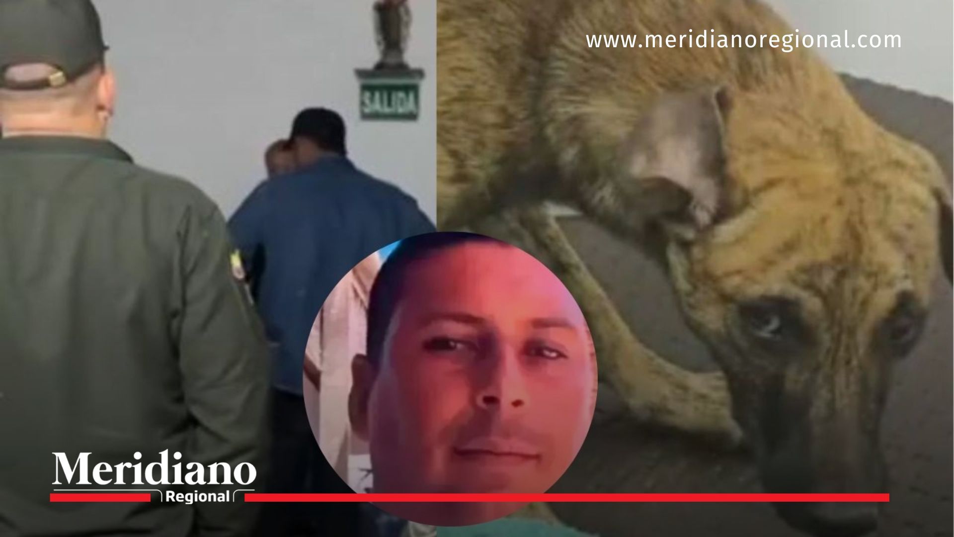 autoridades-revisión-perro-bizcocho-maltrato-animal-en-bolívar